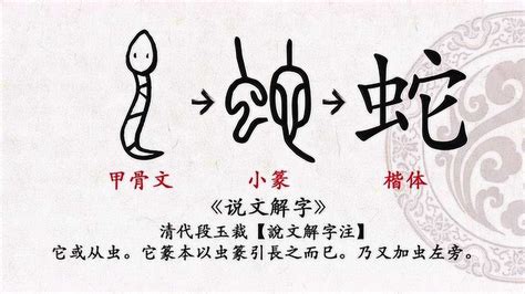 蛇字